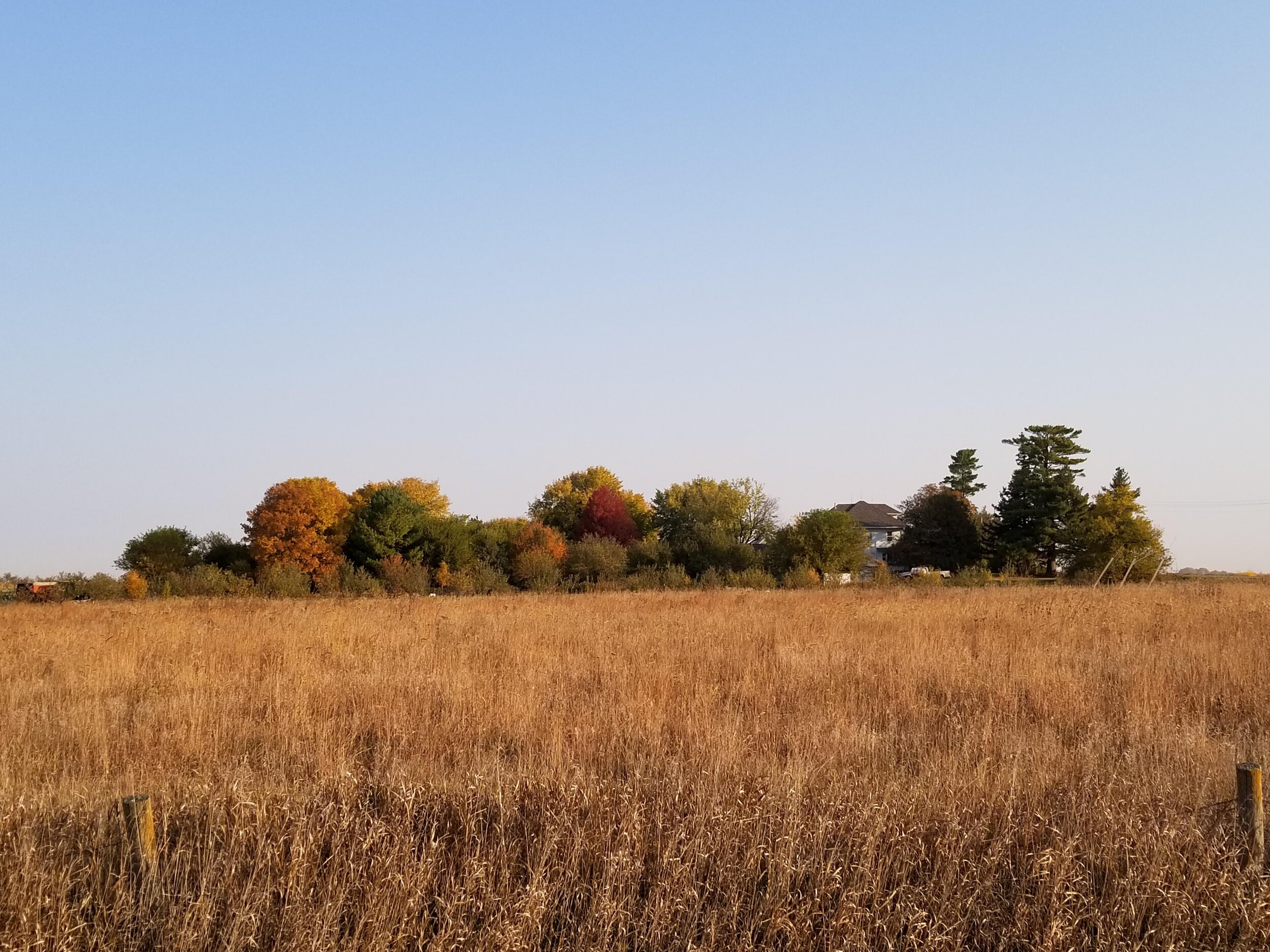 10.09.20 Autumn farmstead