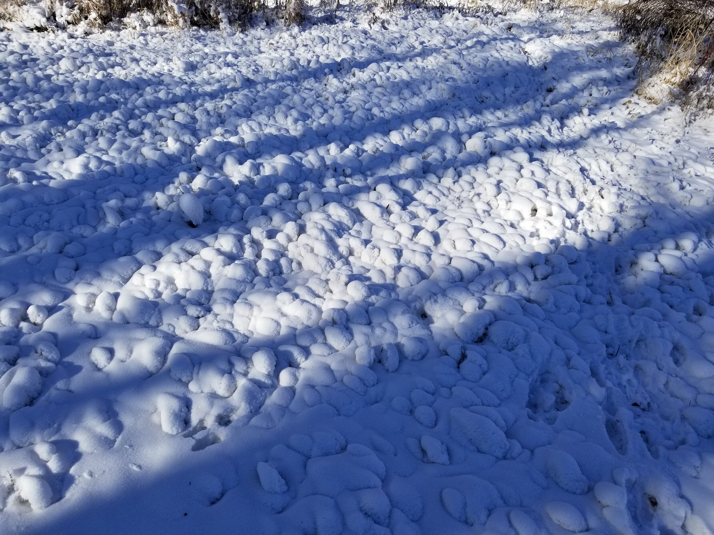 12.25.20 Snow bubbles!