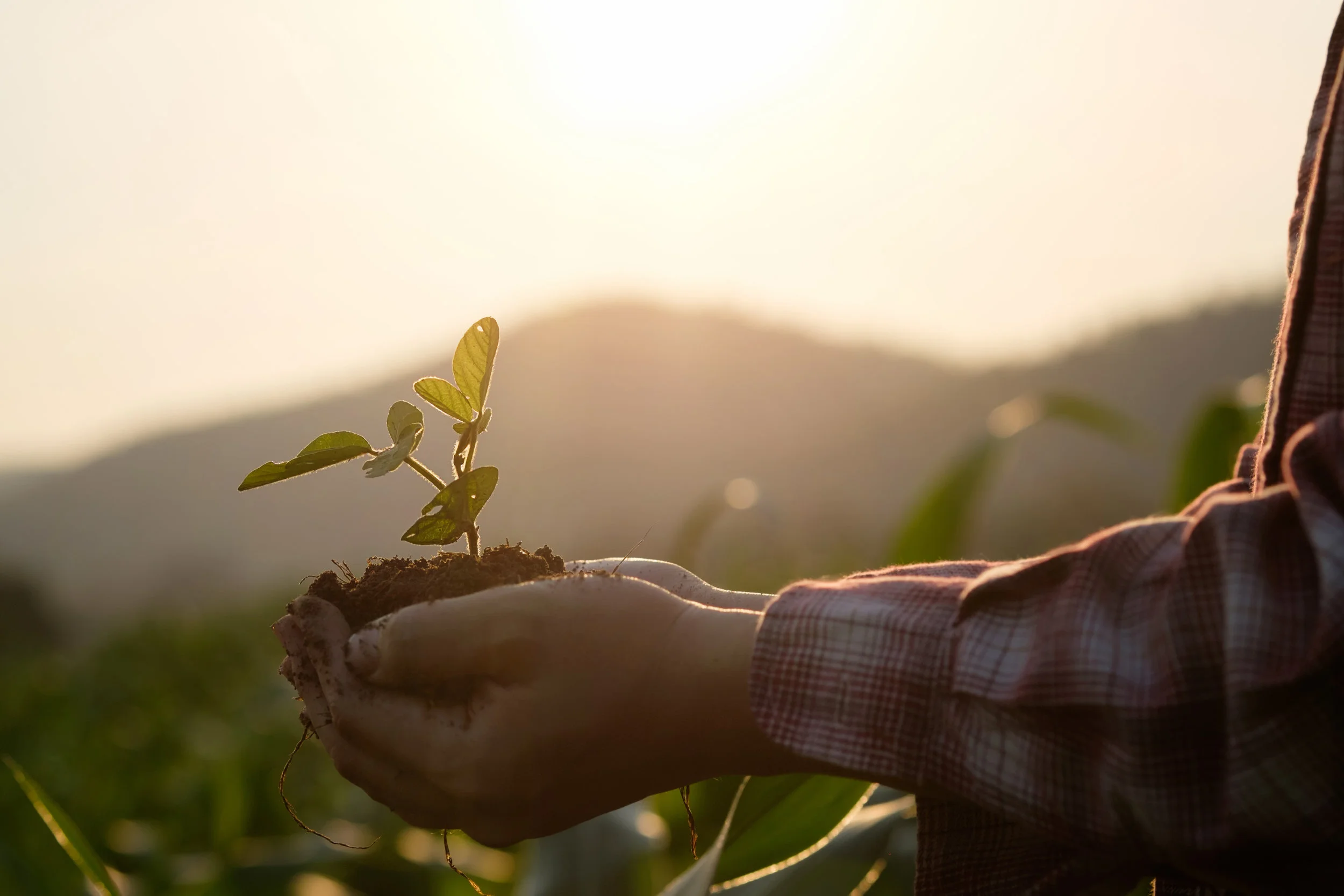 How Does Solar Help The Environment?