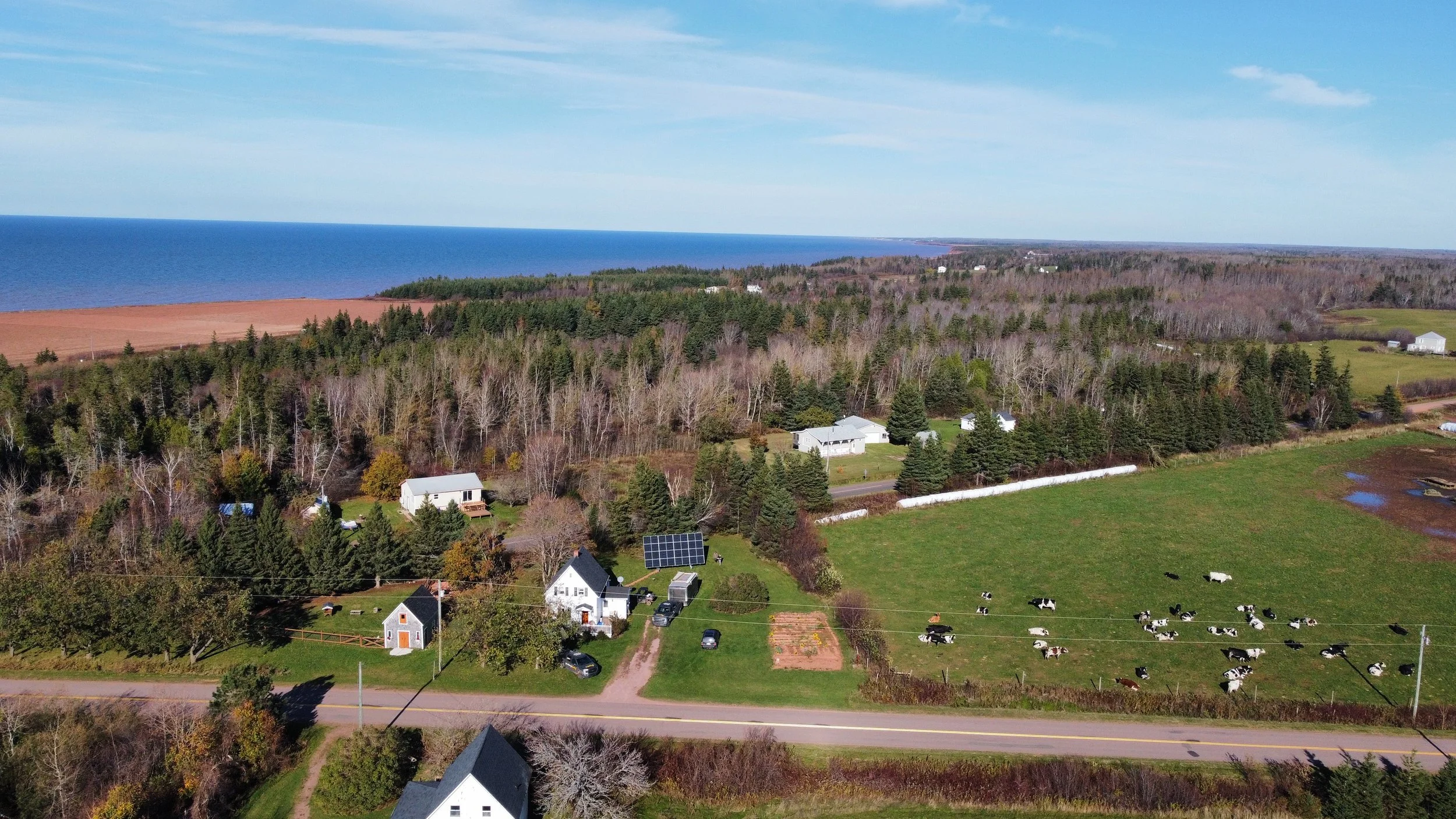 4146 Ohalloran rd aerial.jpg