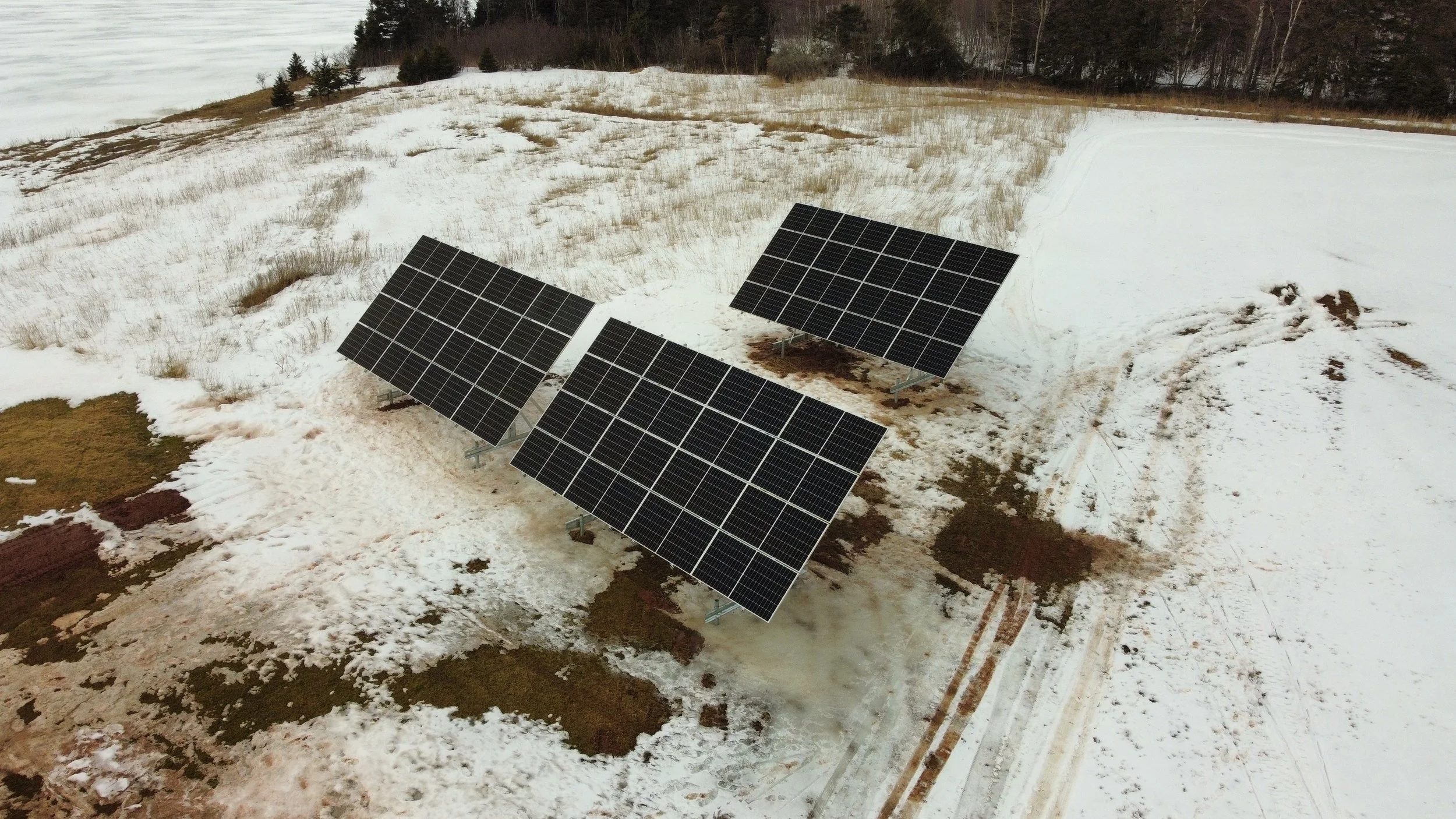dji_fly_20230314_134400_774_1678812686245_photo_optimized.jpg