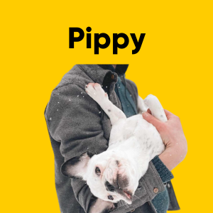 pippy.png