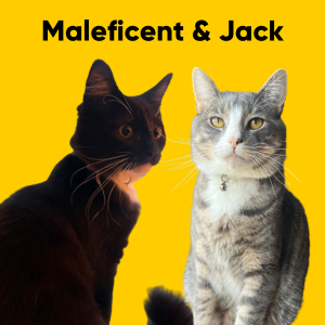maleficant and jack.png