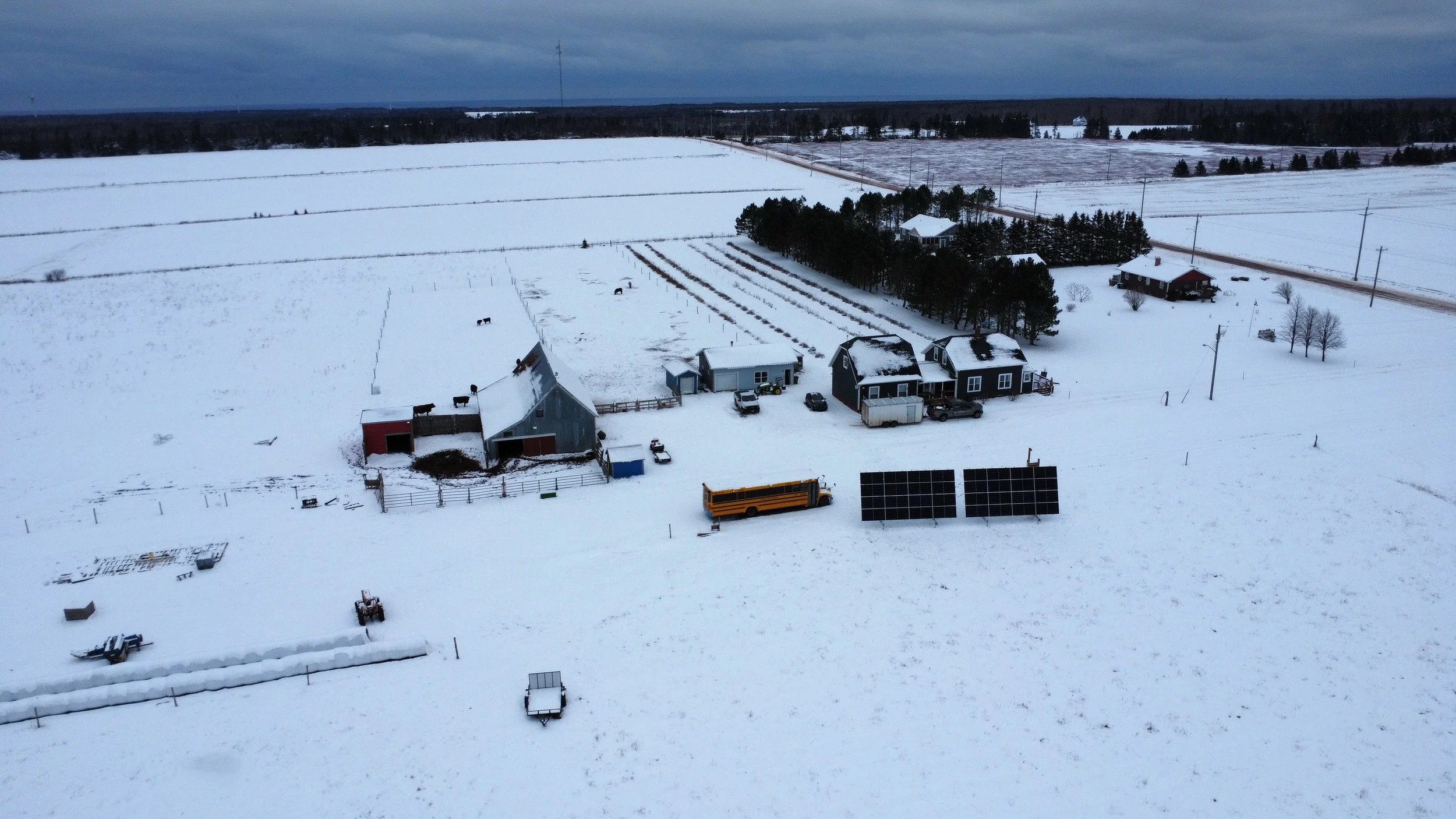 1140 Souris Line Road.jpg