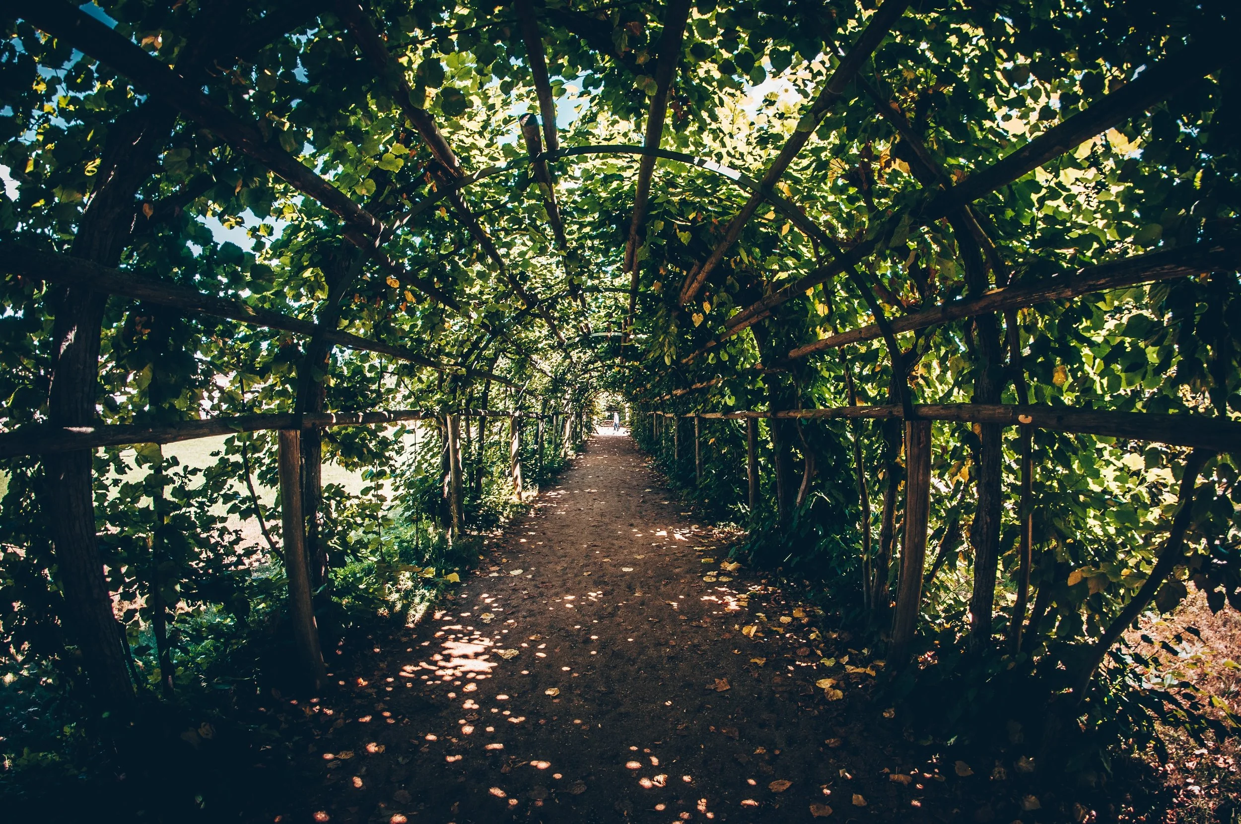 max-GYUpybVmJlQ-unsplash.jpg