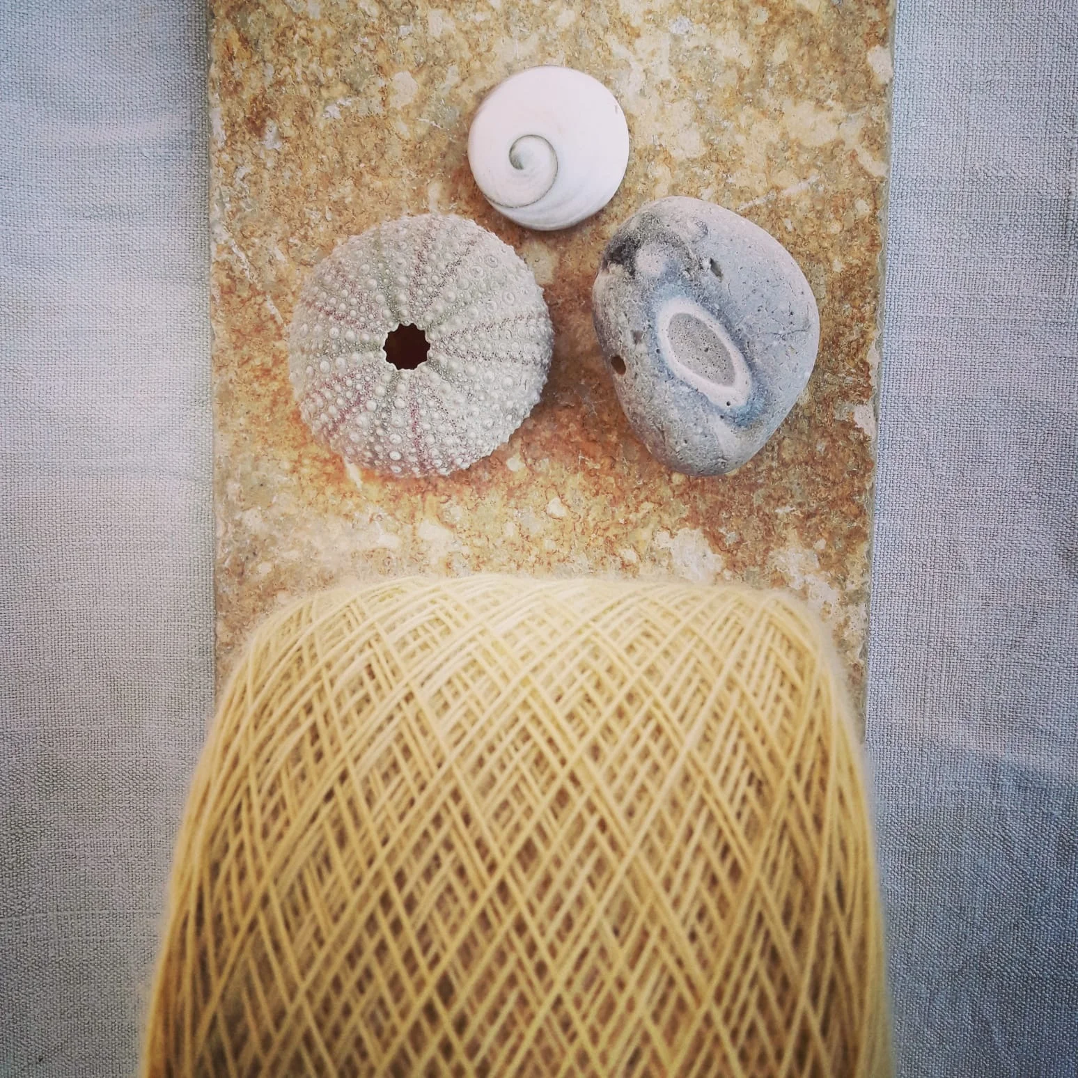 WhatsApp Image 2019-08-02 at 18.42.04.jpeg