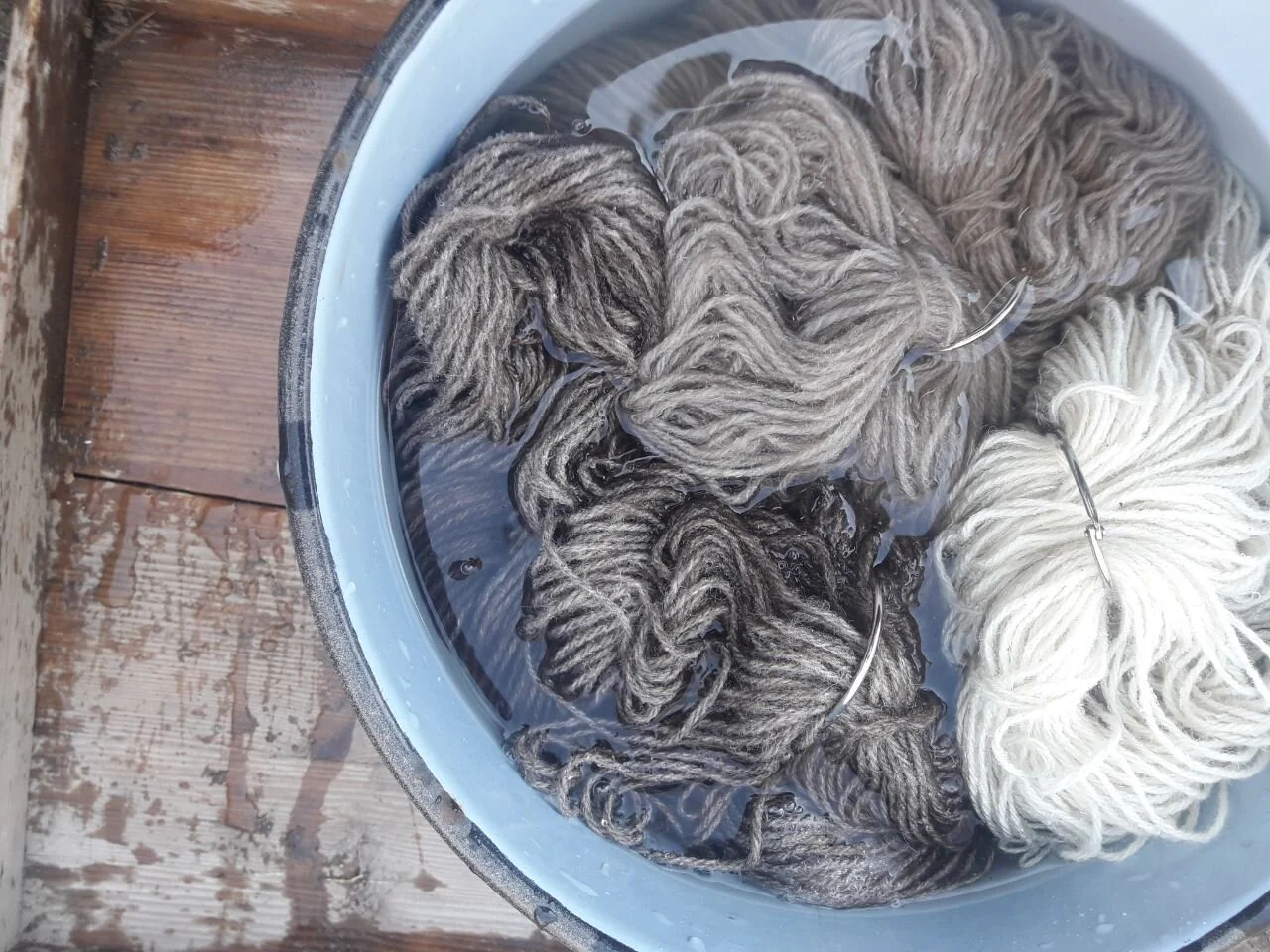 photo_2020-01-10 23.37.10.jpeg