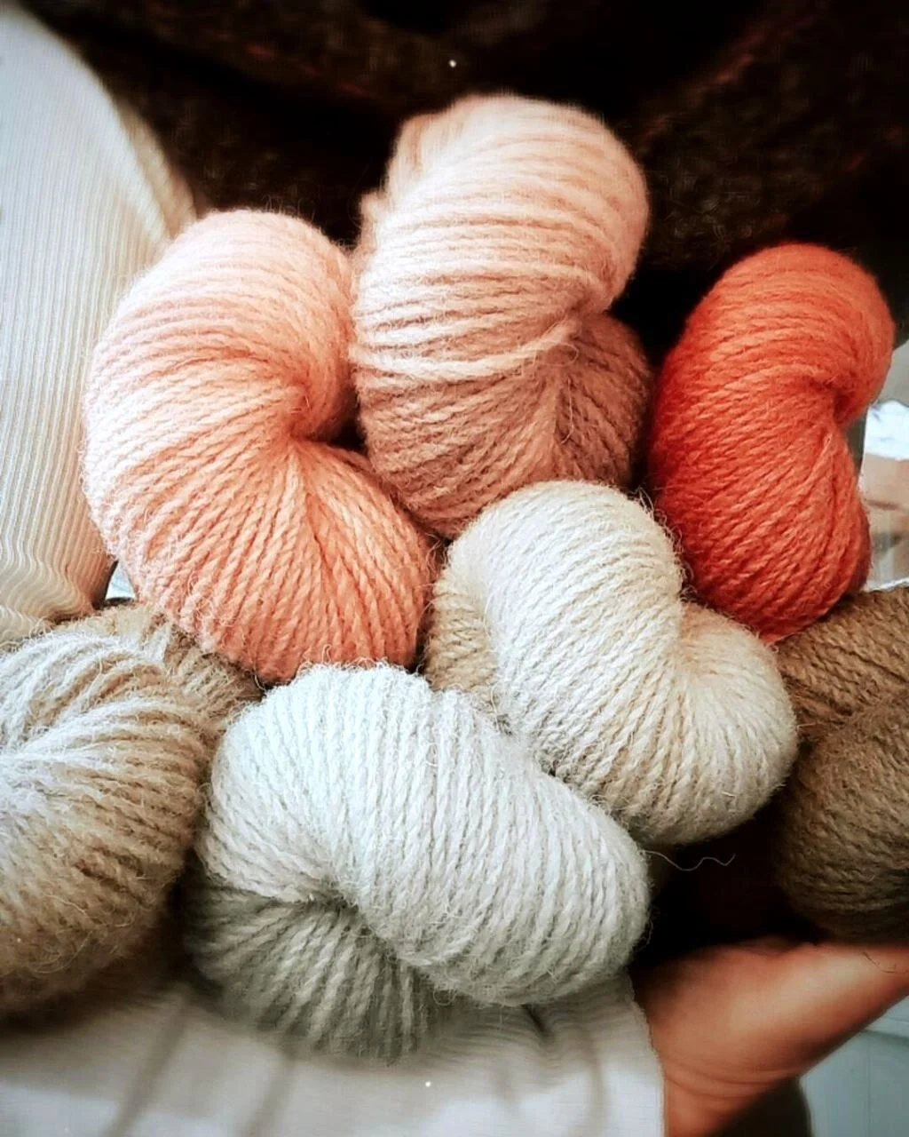 photo_2021-04-29 22.09.57.jpeg