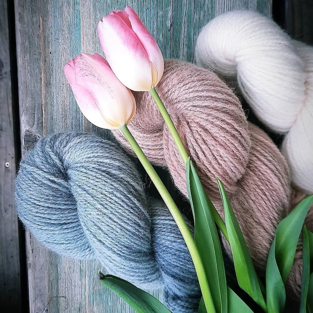 photo_2021-04-29 22.09.52.jpeg