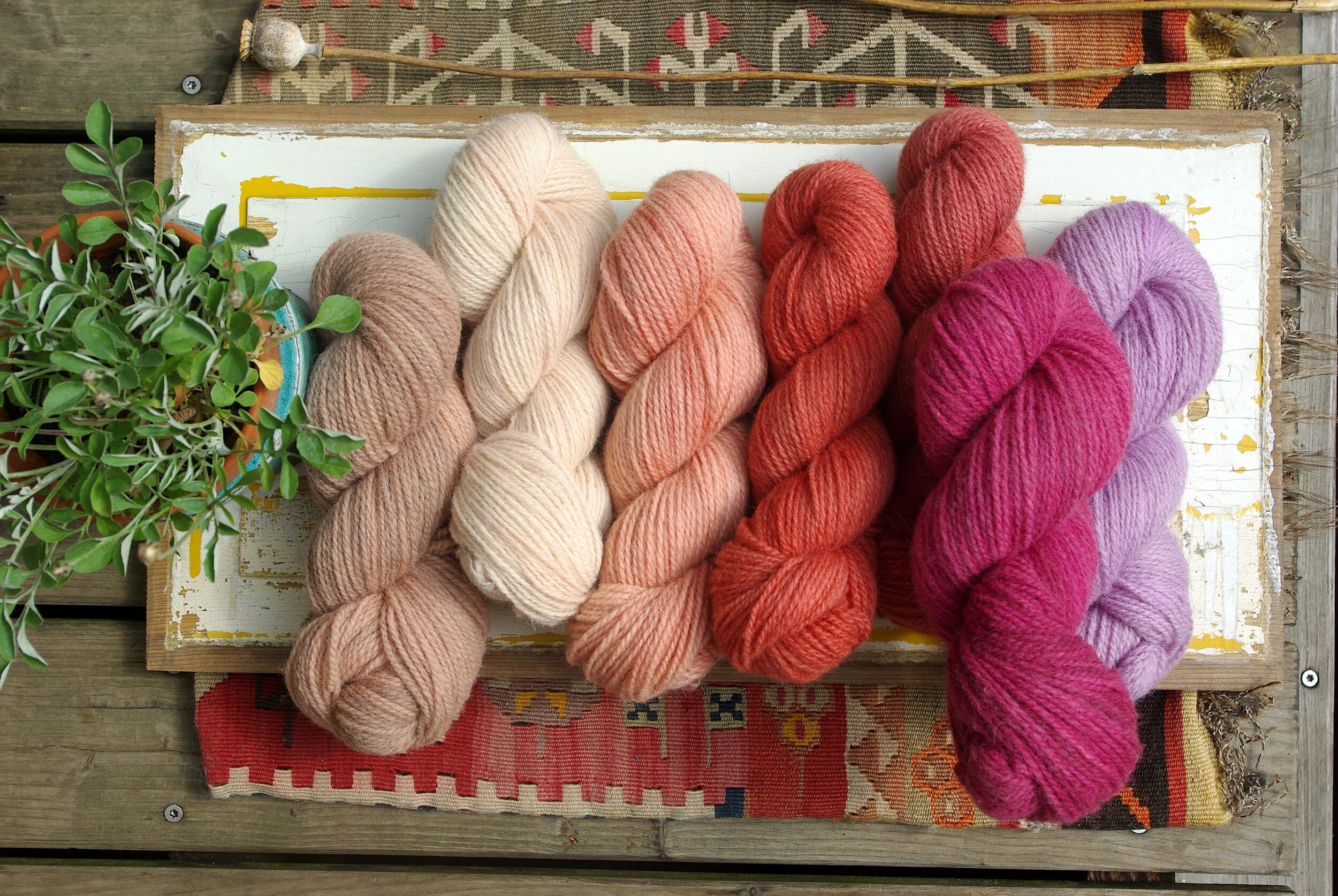 Tufani -  Fire - Feuer