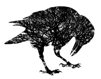 Corvus-Quercus-by-LOU-SMITH.jpg