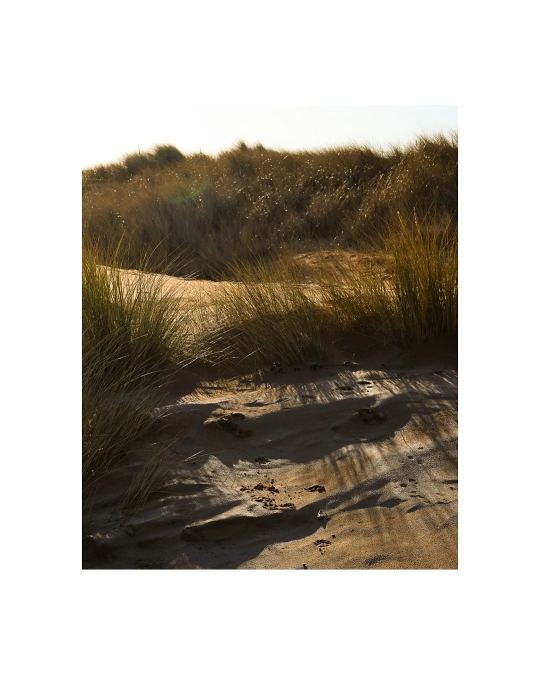 Frosty February, blue skies and a sense of optimism. Come on, spring is just around the corner 🌊🌿