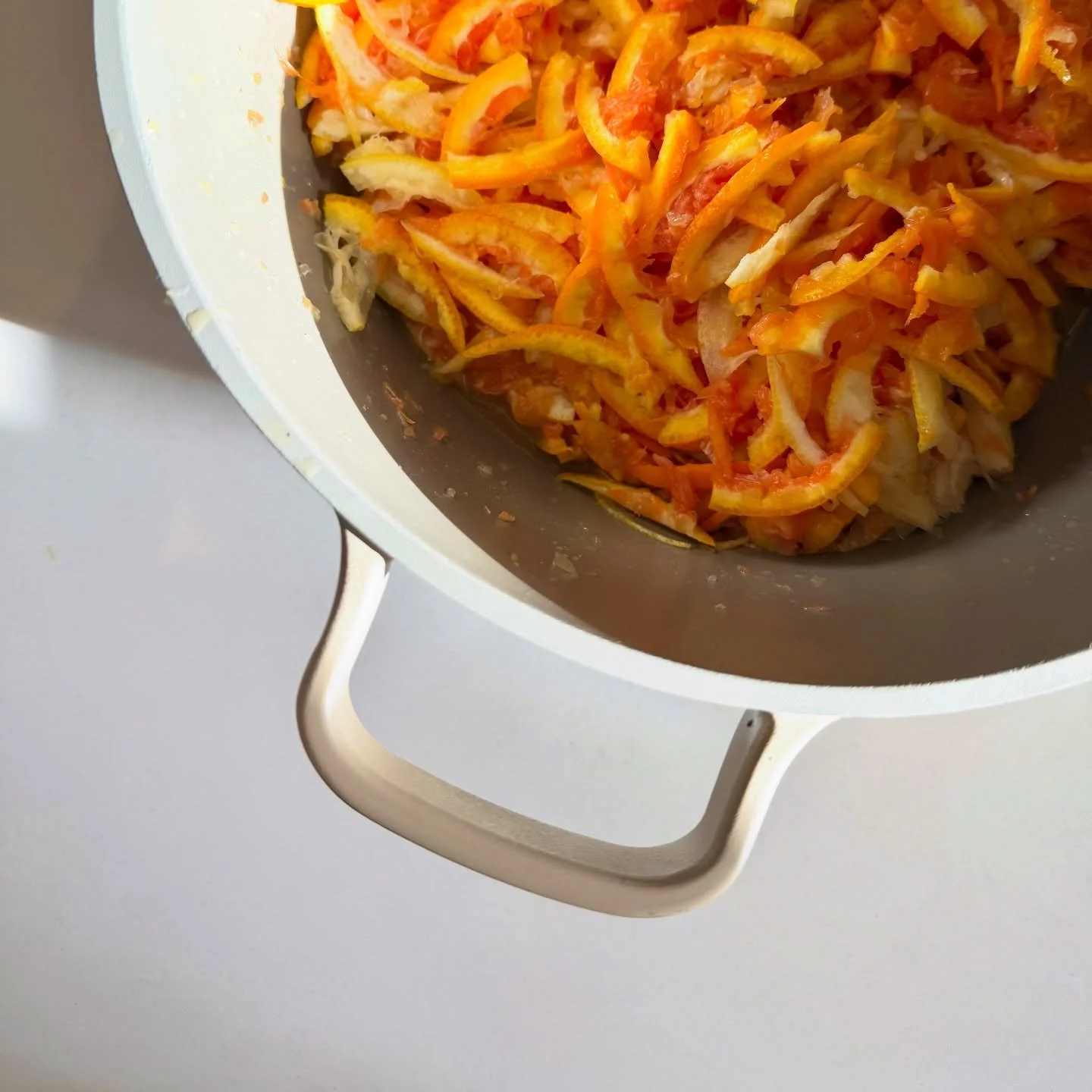 (Blood orange) Lady Marmalade 🧡🍊

{under my new alias @sgordiz @ollyhill57} 😂