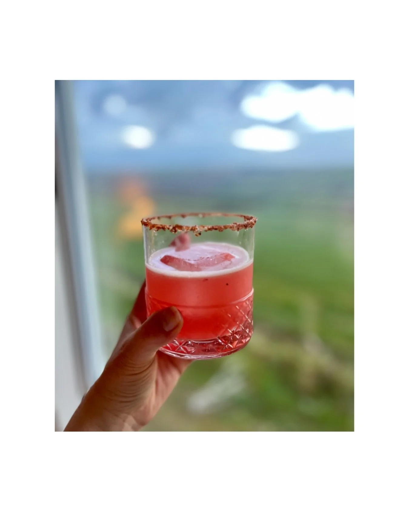 When life gives you blood oranges, make a blood orange margarita🍊🍋&zwj;🟩🧂🤪