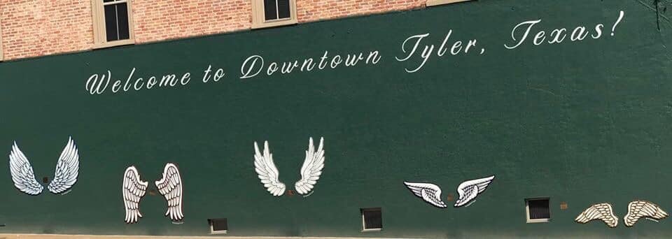 Wings of Tyler