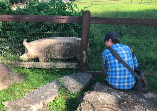 Screenshot 2021-01-26 at 16.34.48.png