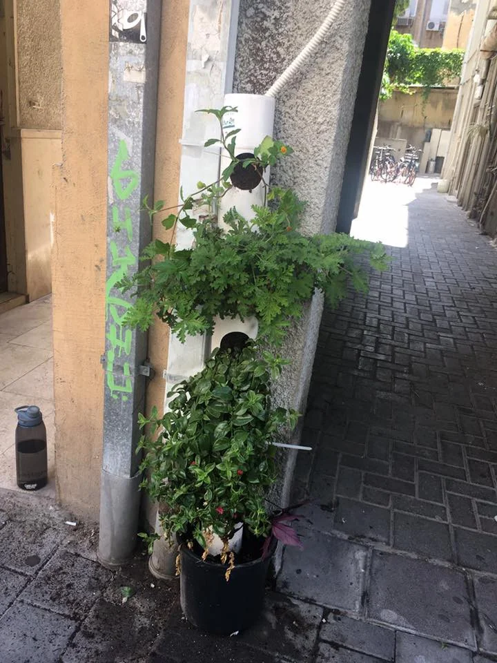 planting-goodness-3.jpeg