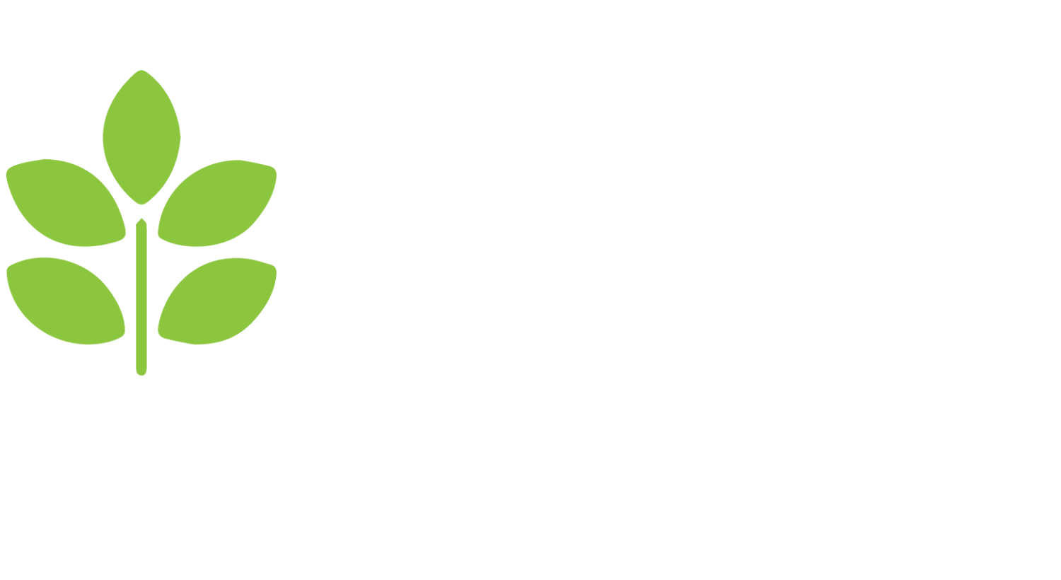 World Fresh intl' market