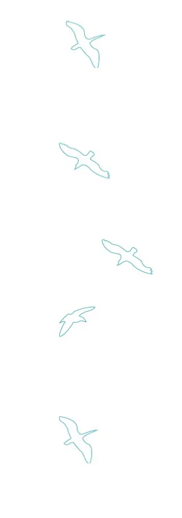 Birds-in-flight-illustration-med.jpg
