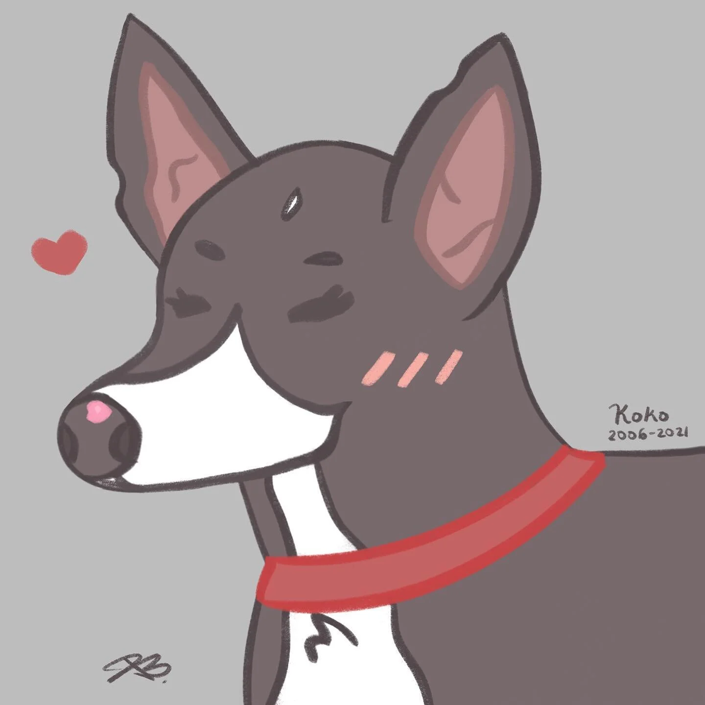 can&rsquo;t believe it&rsquo;s been one whole year without you. i miss you, koko 🤍