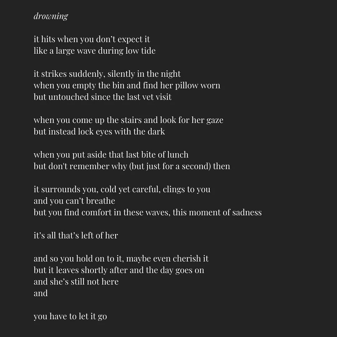 tw: pet loss, death, drowning

three days ago, my family laid our dog (and friend) of 15 years down to rest. none of us have slept well since.

this poem is about patterns. the ones that haunt us after losing koko&mdash;and will probably continue to 