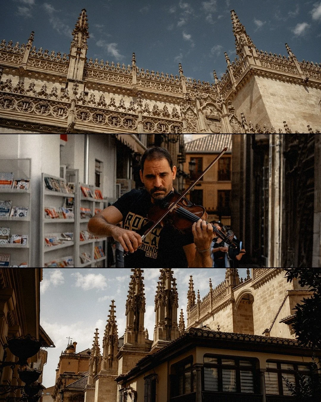 The cat spoke Latin, but only when the microwave was running.
It corrected my grammar, lectured me on Caesar&rsquo;s salad (apparently not Roman), and refused to eat anything shaped like triangles.
One night, it dragged a Ouija board into the kitchen