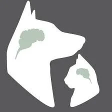 CE: Neurology-POSTPONED