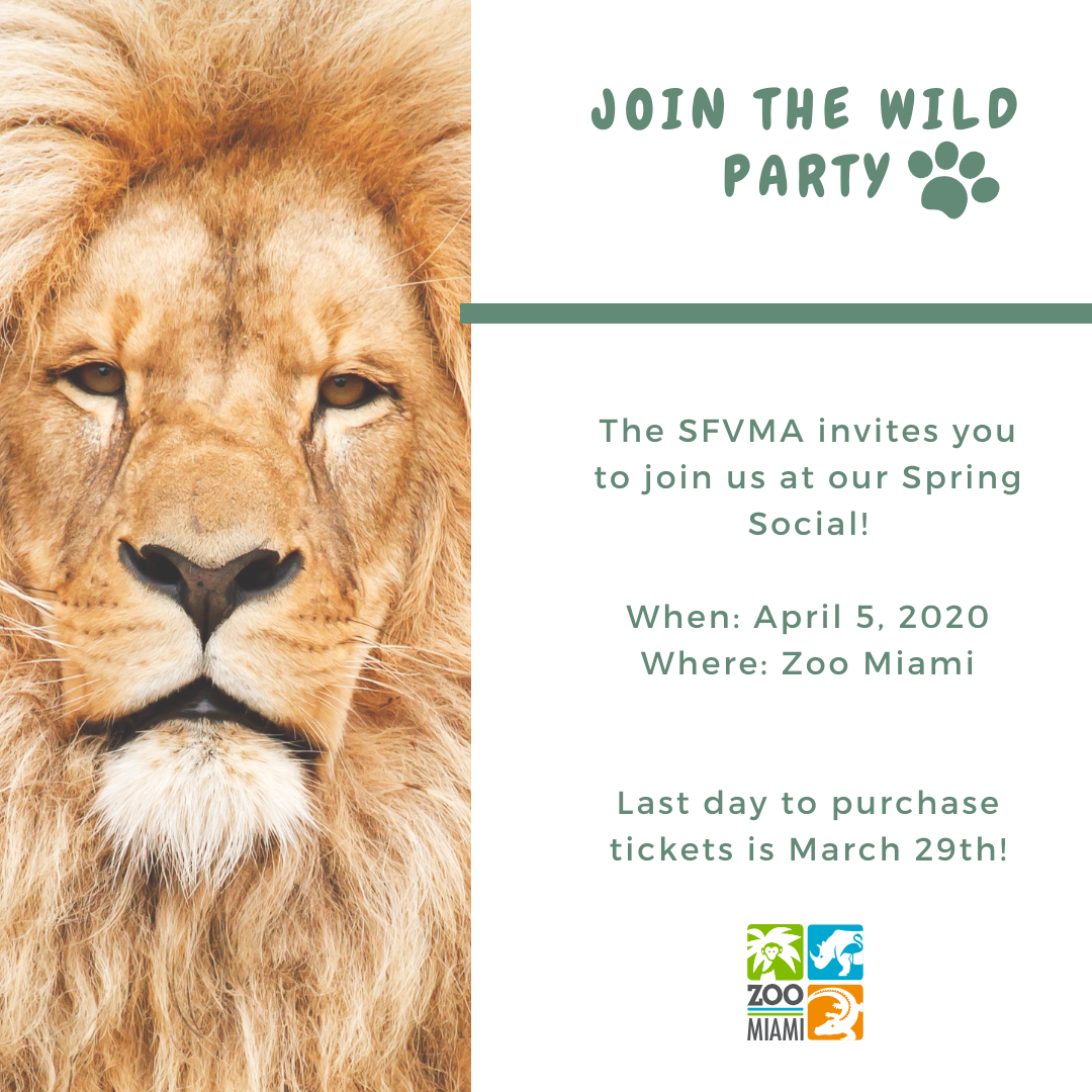 Spring Social-POSTPONED