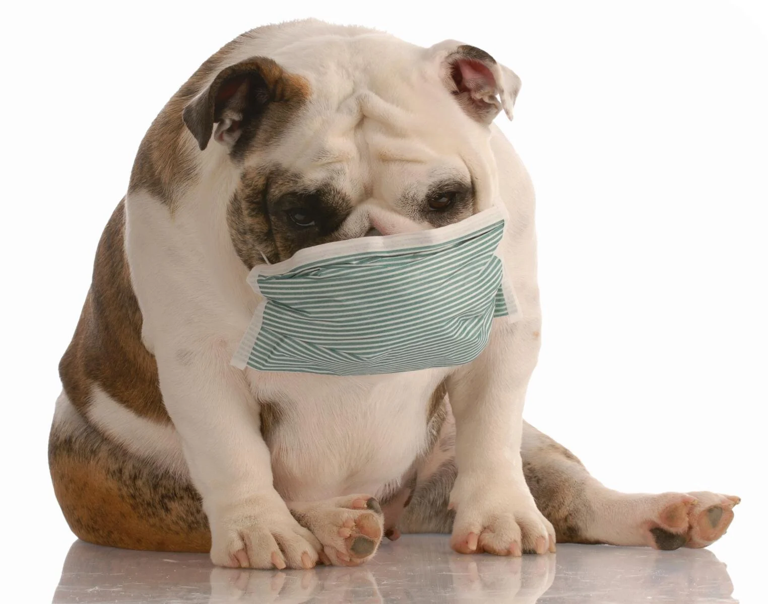 Coronavirus Developments: Stimulus Package &amp; Telemedicine 