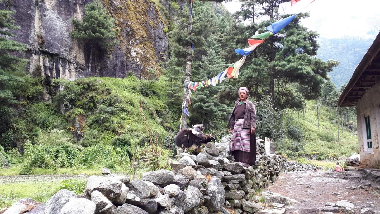 Nepal Lady (1).jpg