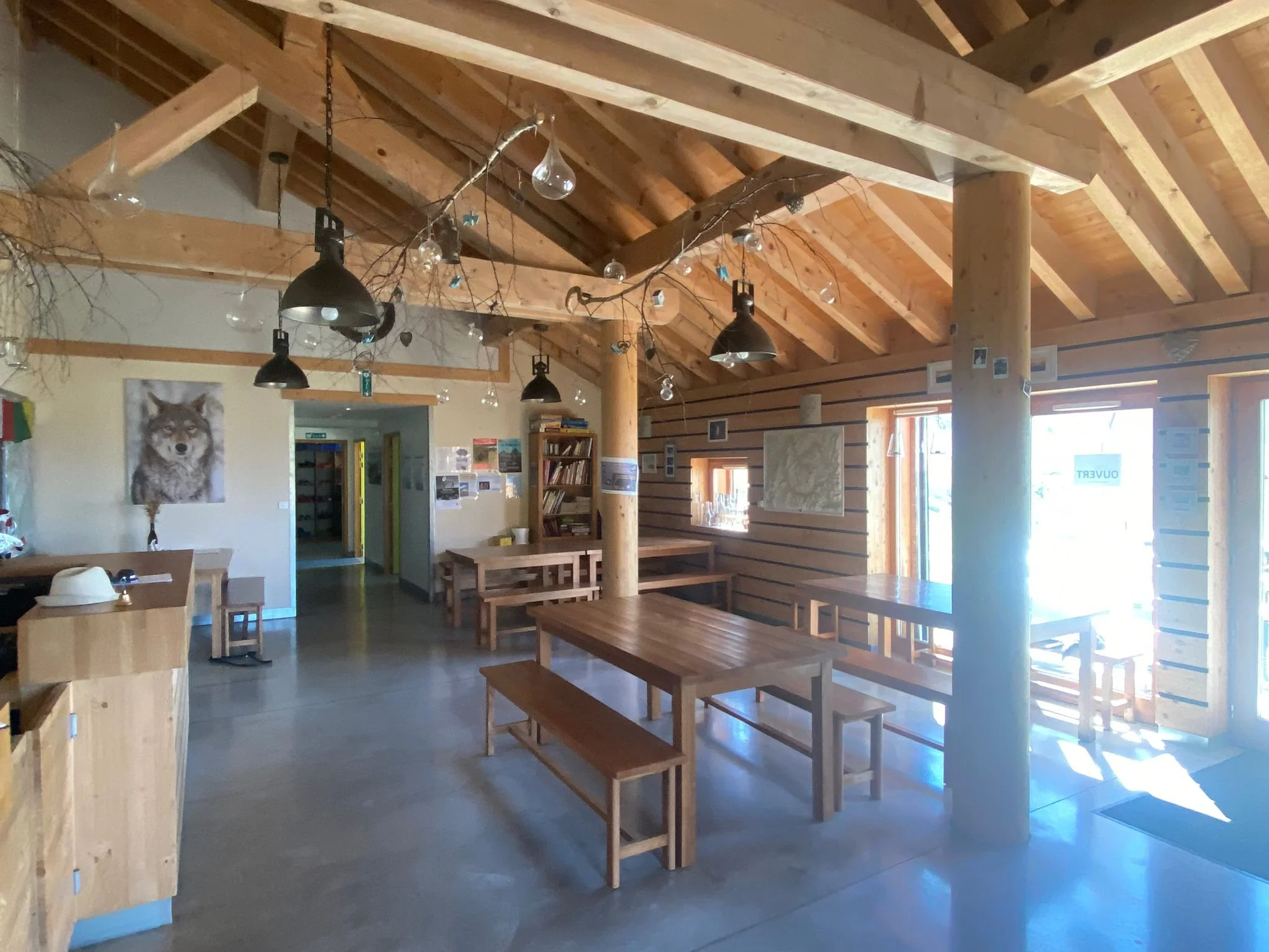 WhatsApp Image 2023-09-11 at 11.31.37.jpeg