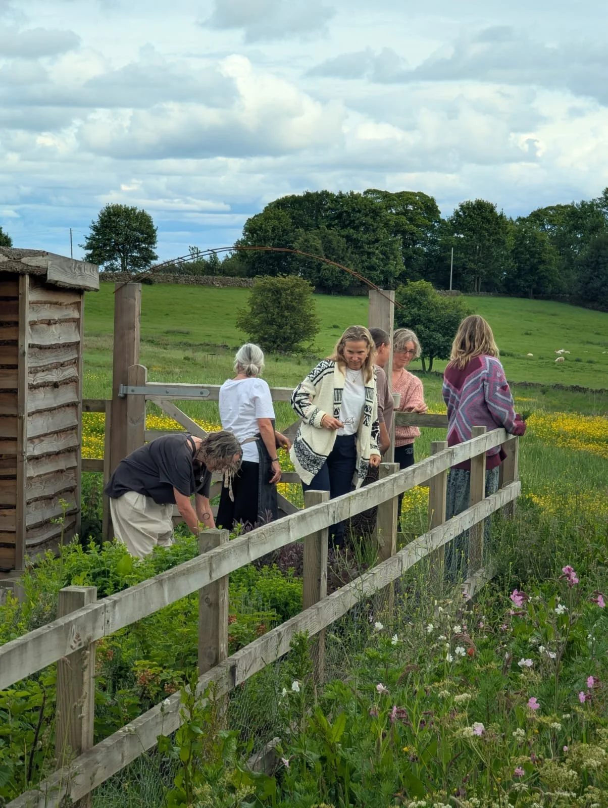 WhatsApp Image 2025-06-27 at 14.14.20 (1).jpeg