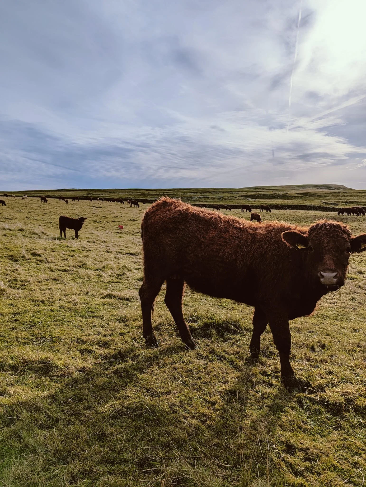 Langcliffe WHM 7.jpeg