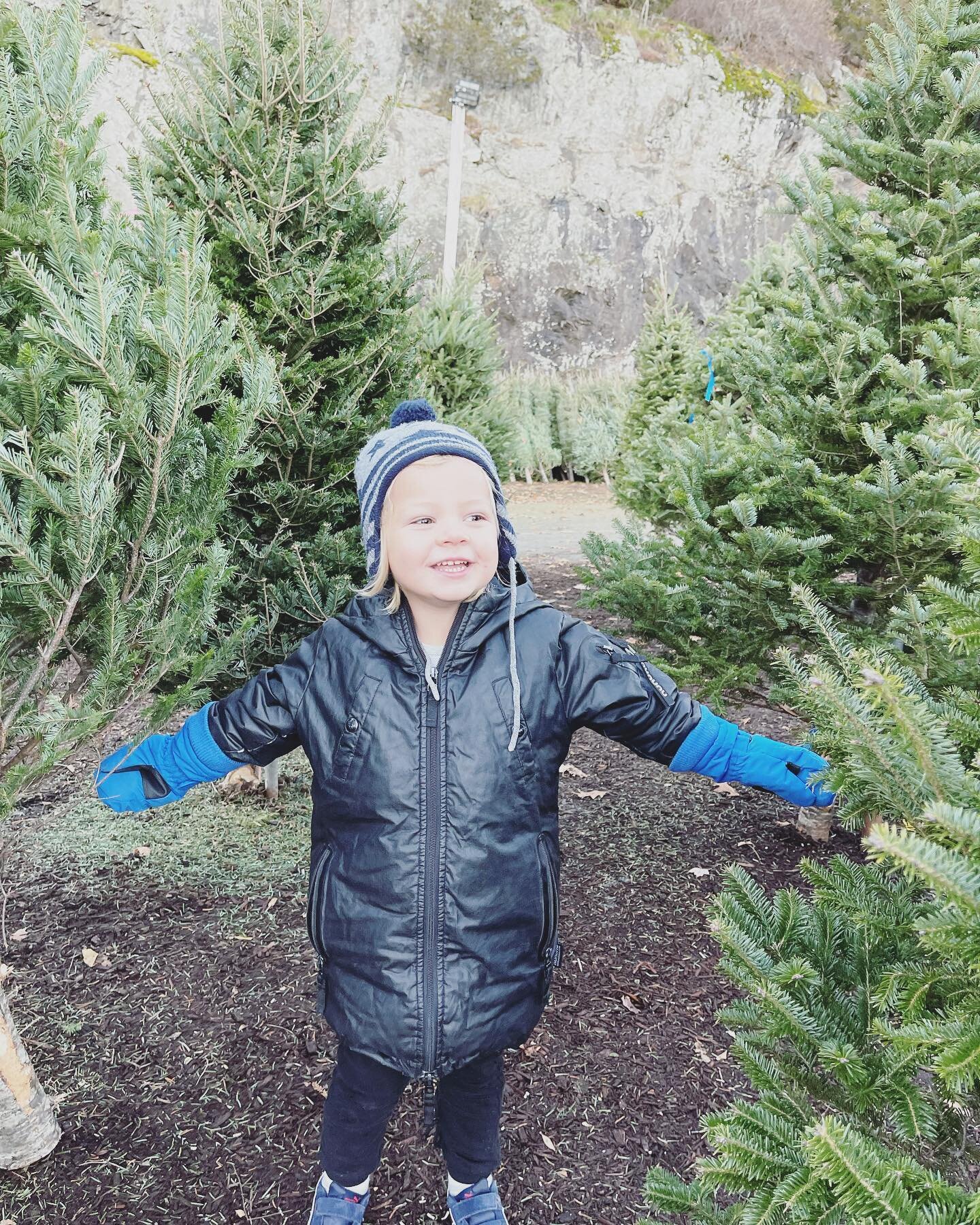 #themostwonderfultimeoftheyear