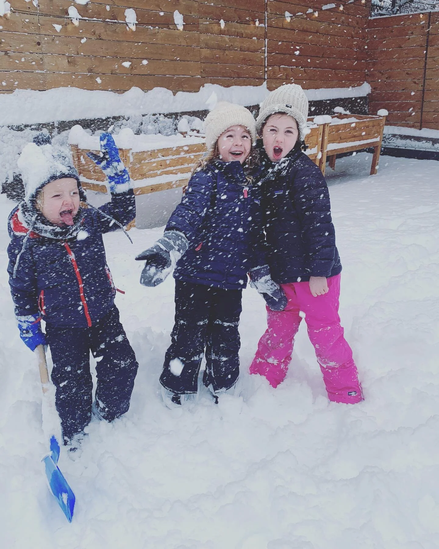 Happy snowy crew today! #newenglandwinter