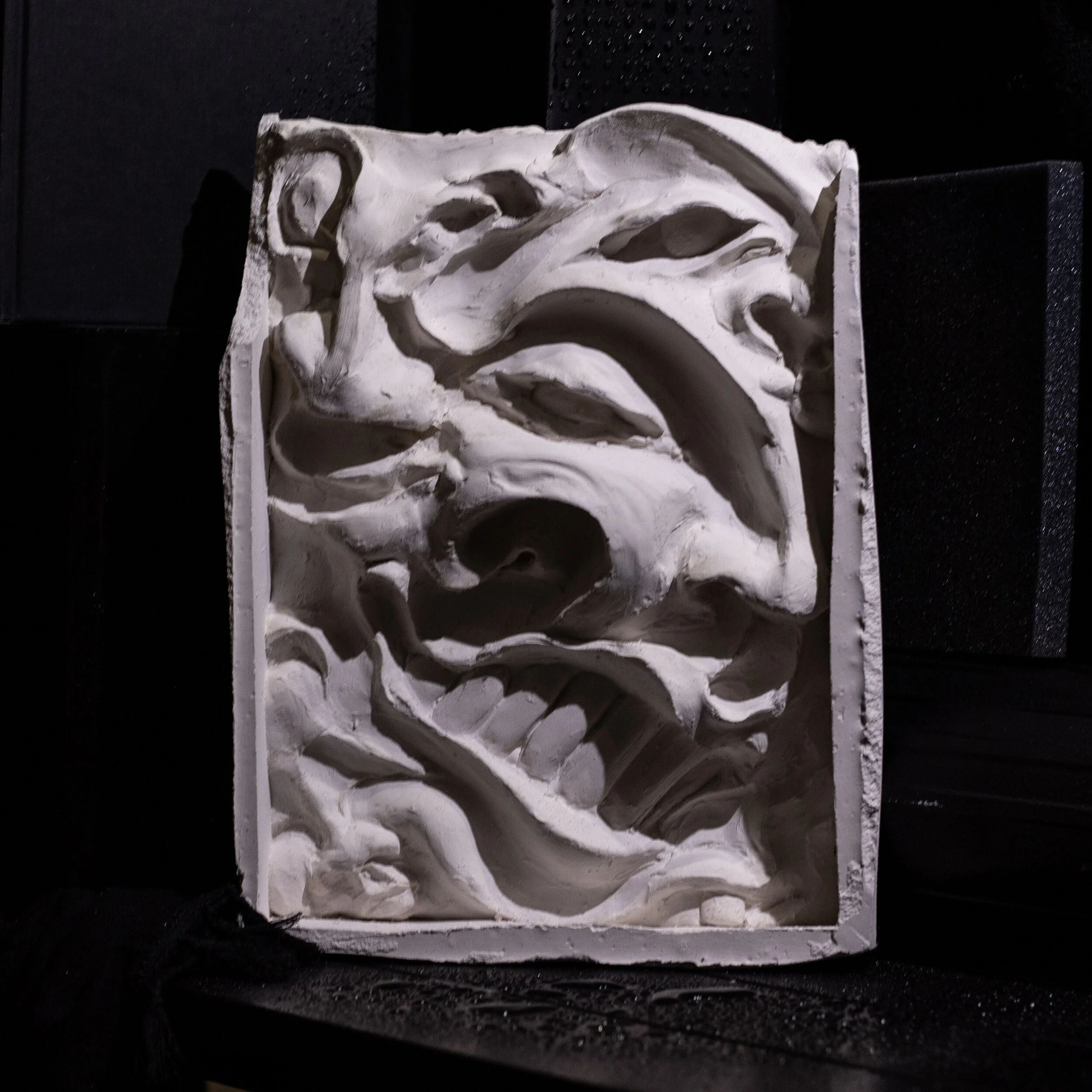 «Faces relieff» 2020