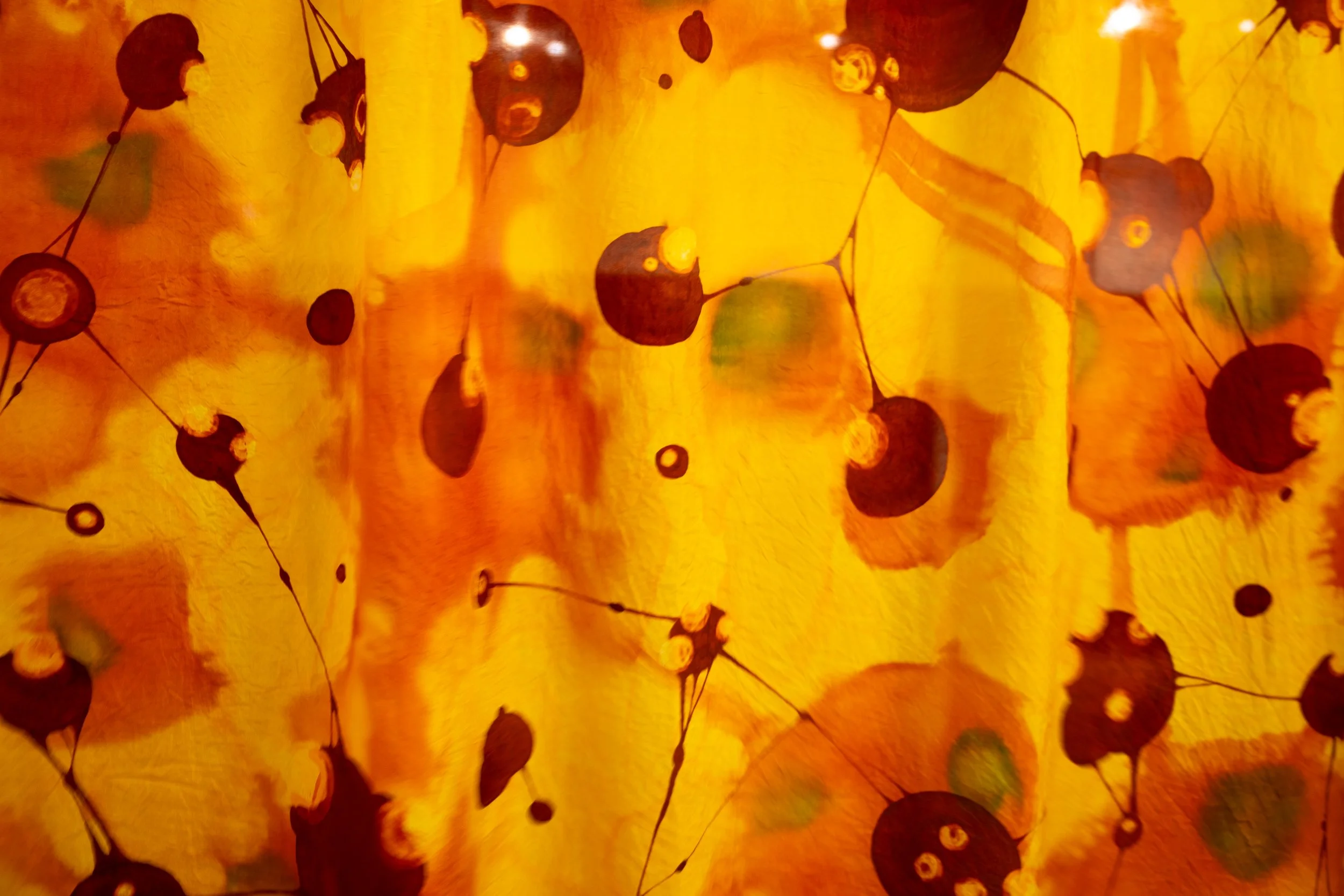 _89A0782.JPG