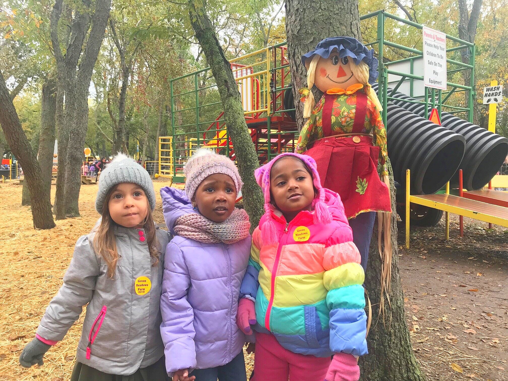 Young girls on playground