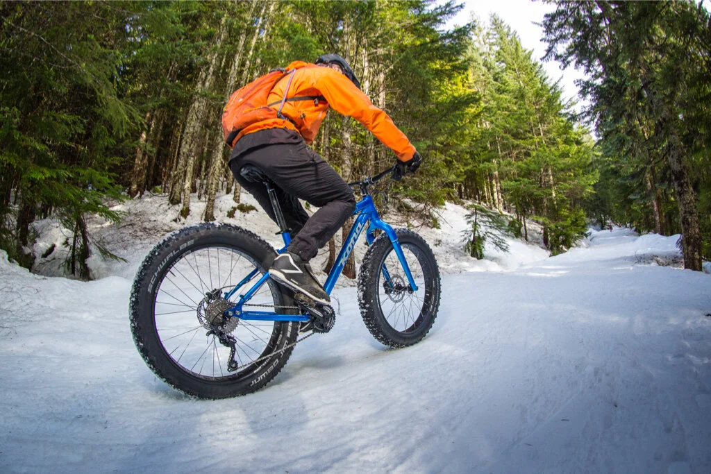 ruckus fat bike