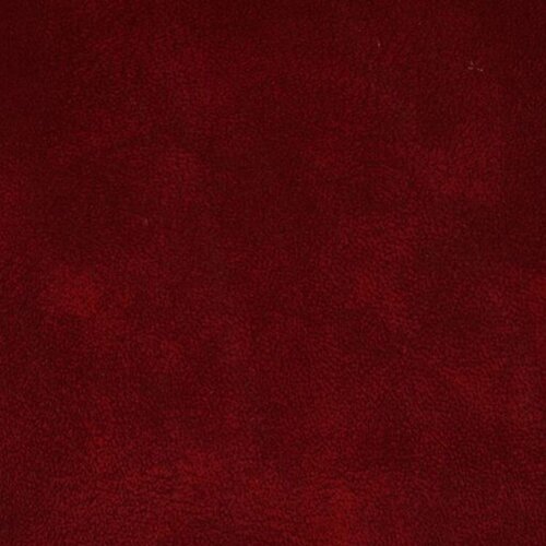 The Sunday of the Passion: Palm Sunday