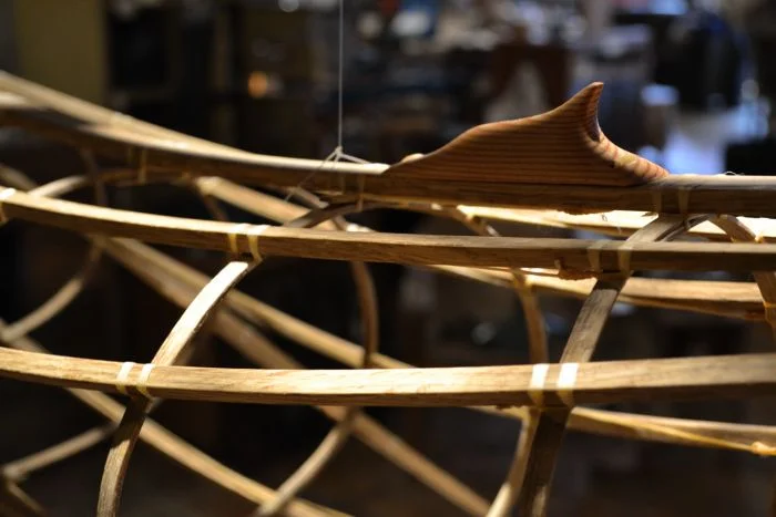Humpback Whales | Oregon White Oak, Reclaimed Fir, Sinew