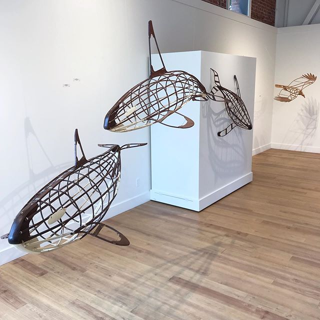 After a great week up in Port Townsend, I&rsquo;m back in Portland, but my sculptures will continue hanging @northwindarts through the end of the month!
#orca #humpbackwhale #turkeyvulture #killerwhales #sculpture #art #artgallery #bentwood #steamben