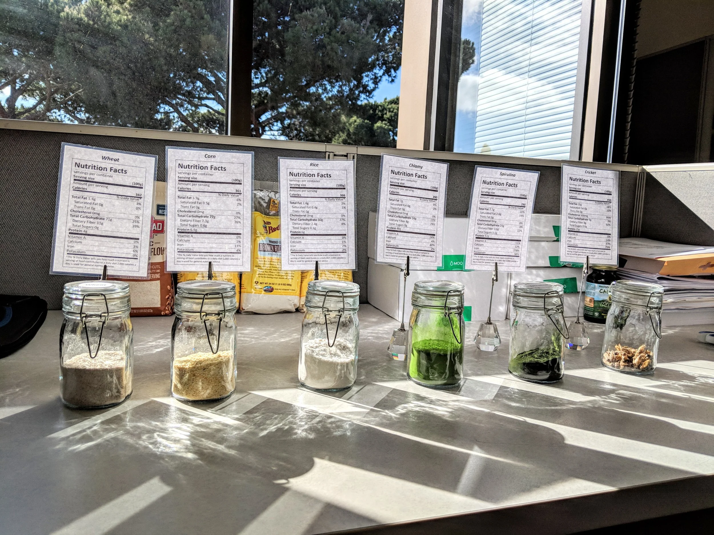 TRITON ALGAE INNOVATIONS NAMED ONE OF 30 SAN DIEGO "COOL COMPANIES"