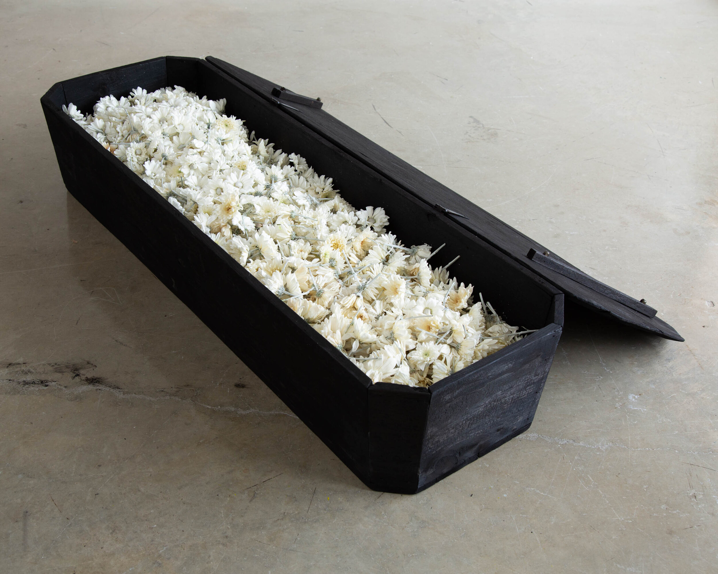  2021. cremation tags, soil, grass, coffin, daisies, wax, lard, human hair, glass, metal shelves. 57” x 18” 11”  