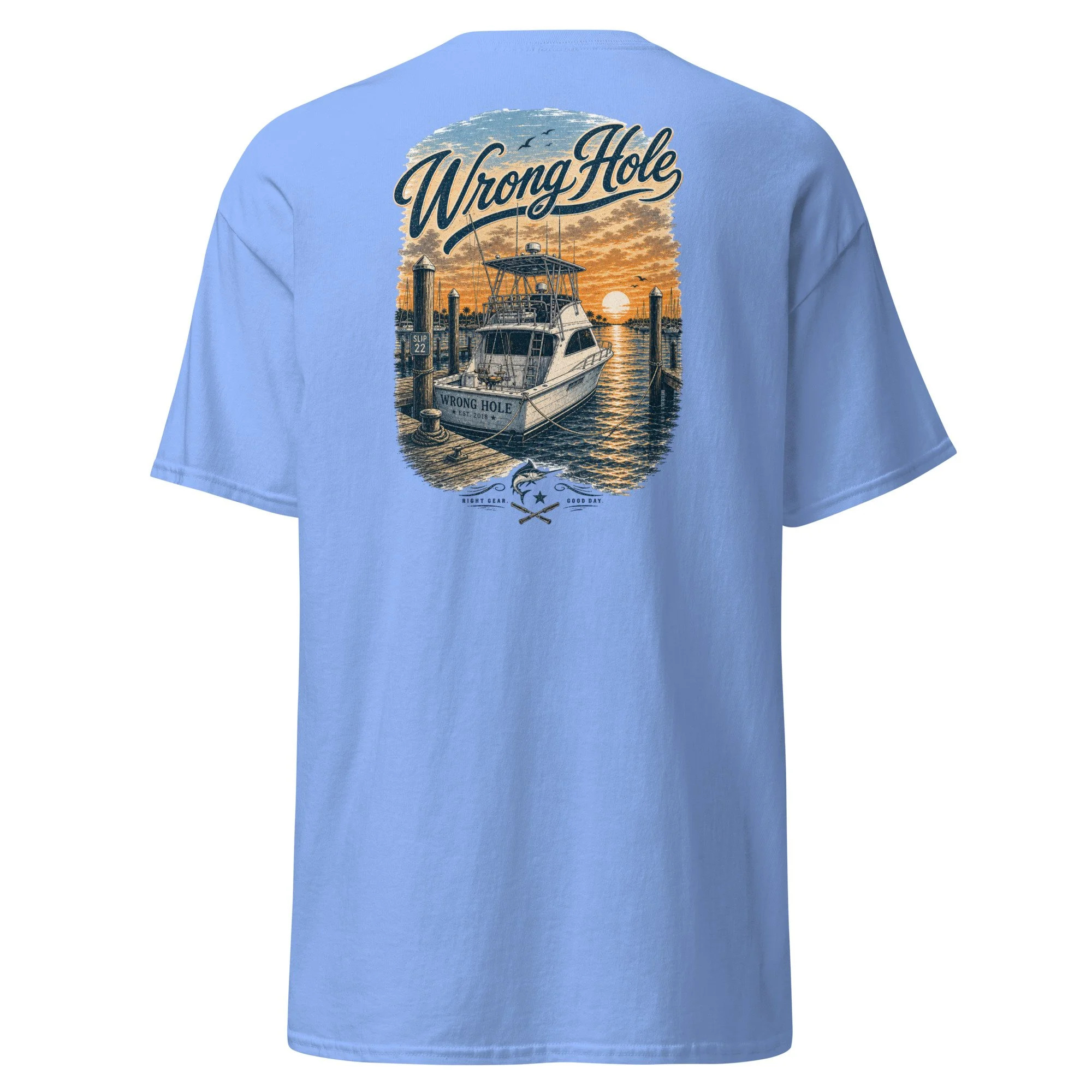 unisex-classic-tee-carolina-blue-back-6ab28bc206a2f.jpg