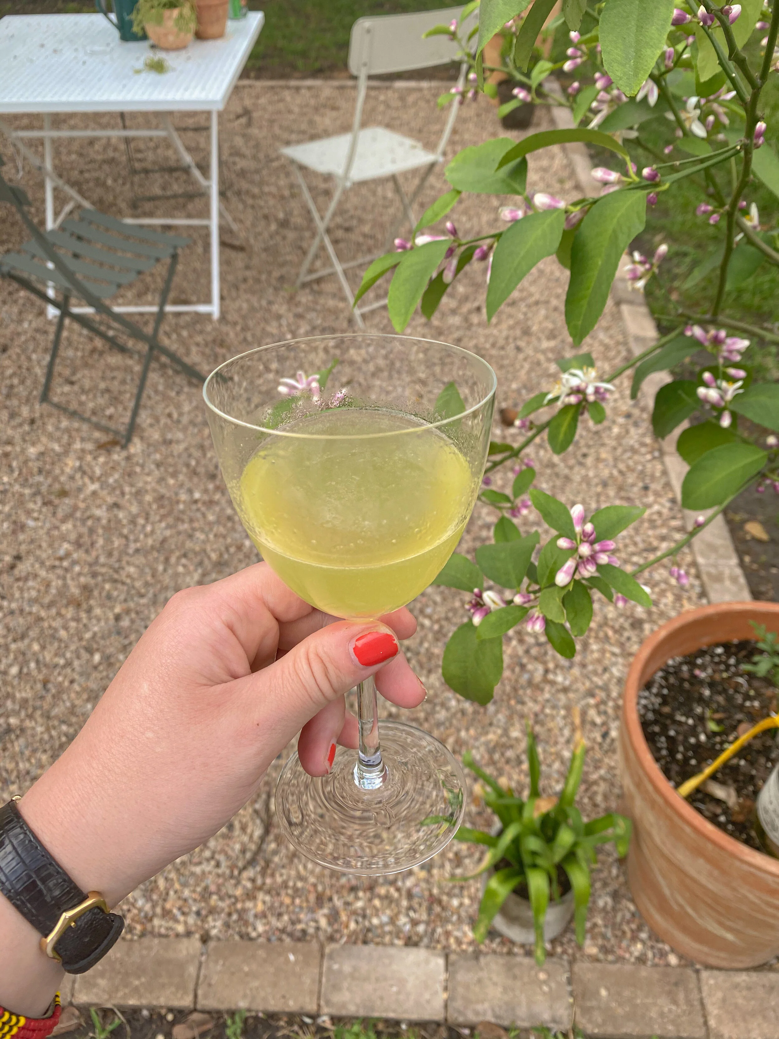 Recipe: Garden House Basil Gimlet 