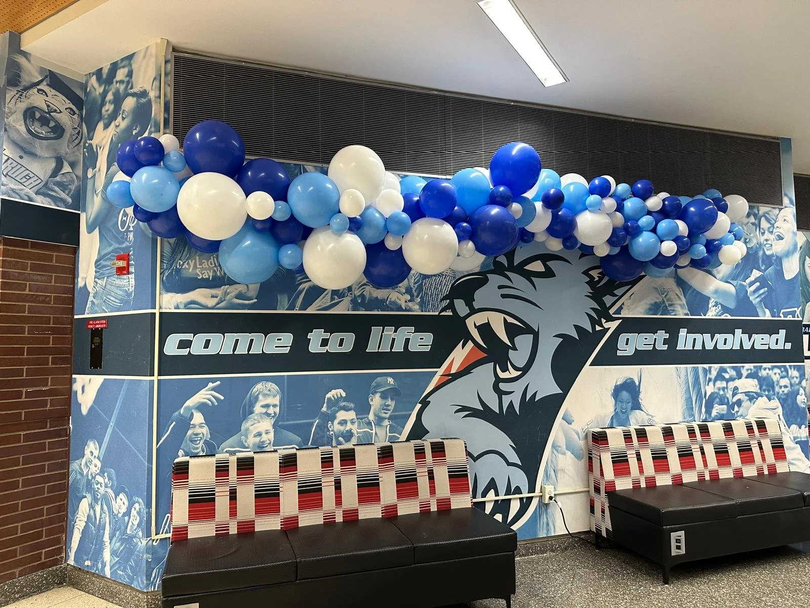 WhatsApp Image 2026-04-07 at 2.33.17 AM (2).jpeg