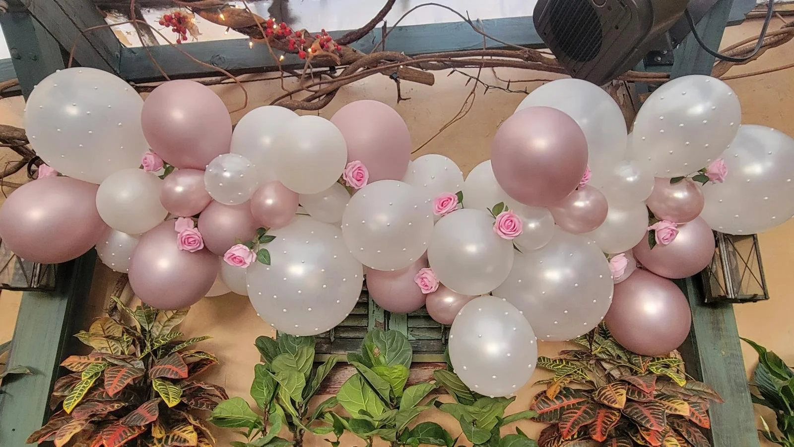 WhatsApp Image 2026-04-07 at 2.33.17 AM.jpeg