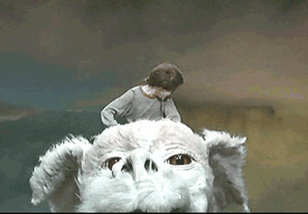 giphy-1.gif