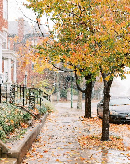 Ed 79: Winter, Dessertery, Kombucha